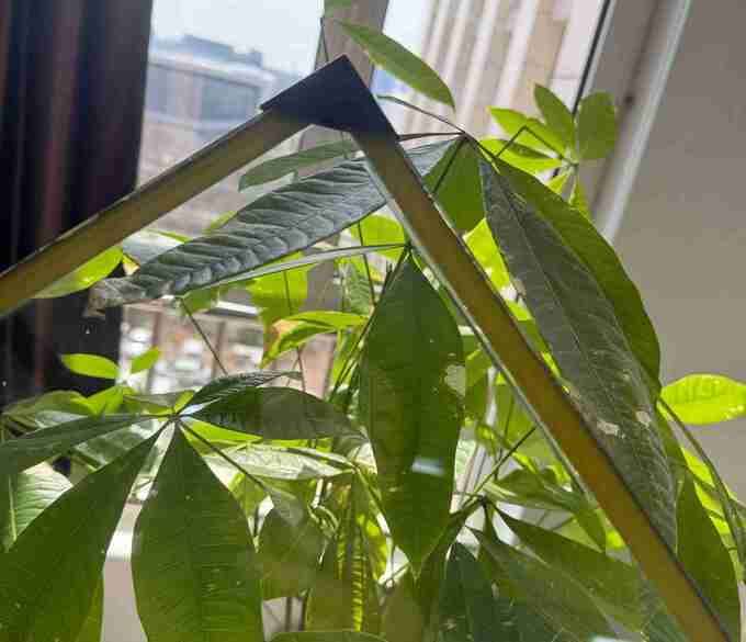 Vacuum Glass