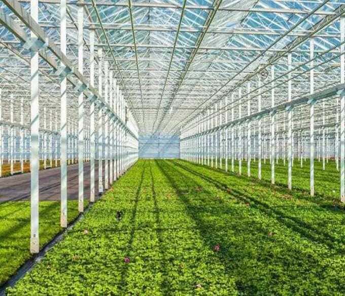 Solar Glass   