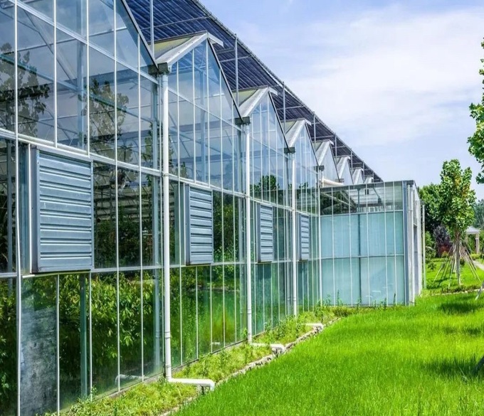 Greenhouse Glass   