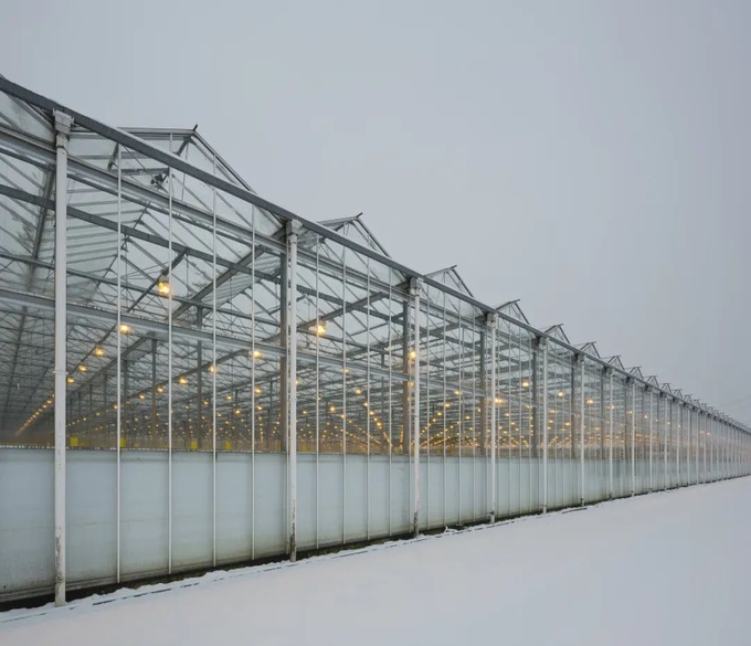 Greenhouse Glass   
