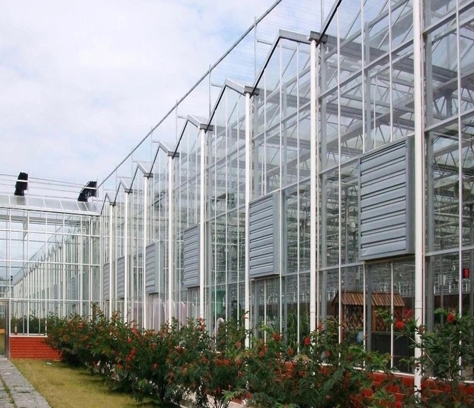 Greenhouse Glass   
