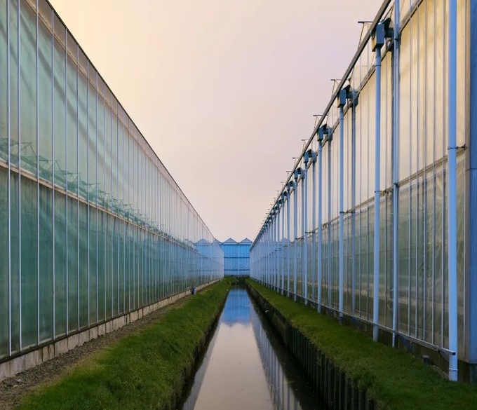 Greenhouse Glass   